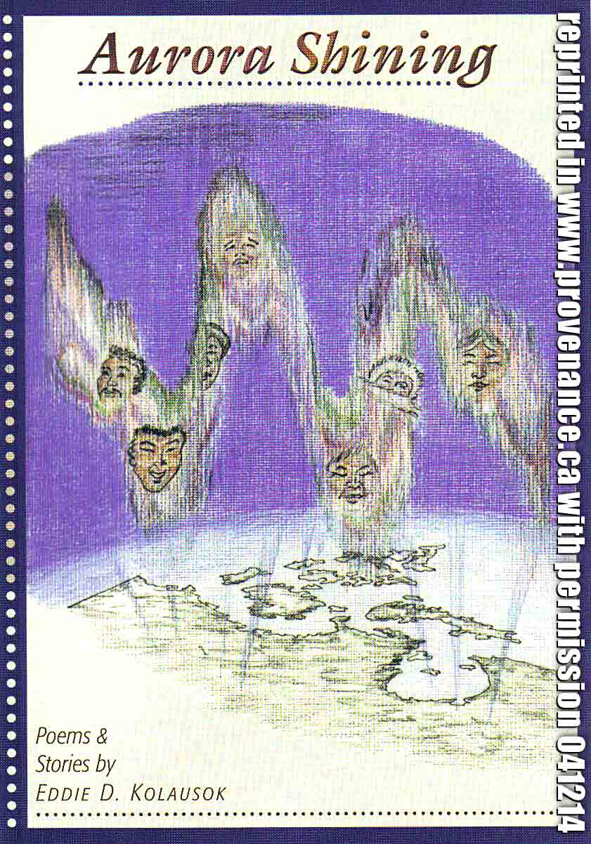 scanned book cover from AURORA SHINING 